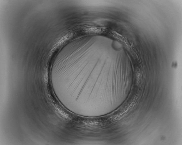 X0000098190729200805081047