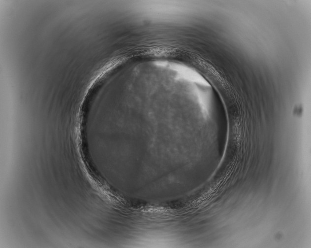 X0000098190730200805081047