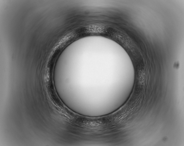 X0000098190731200805081047