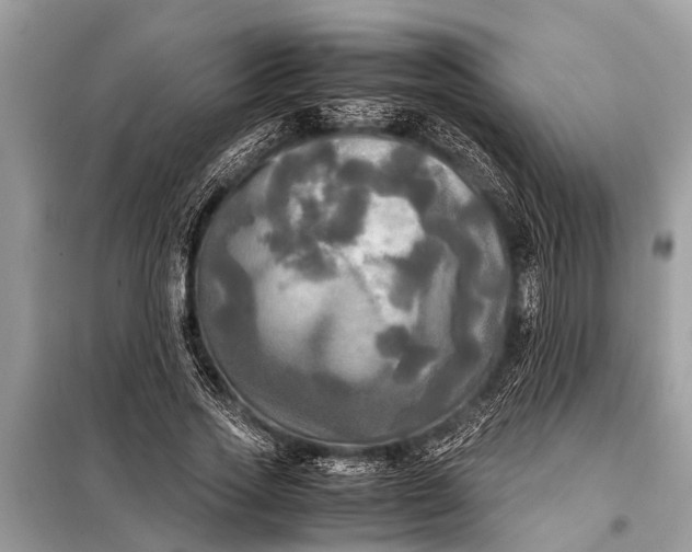 X0000098190733200805081047