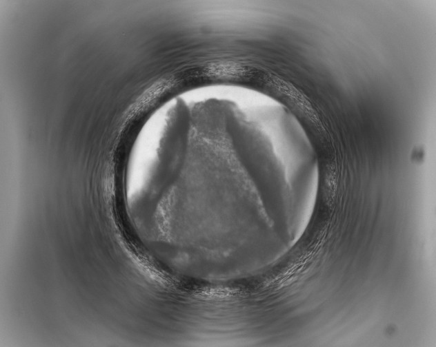 X0000098190734200805081047