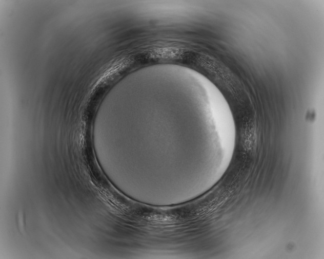 X0000098190735200805081047