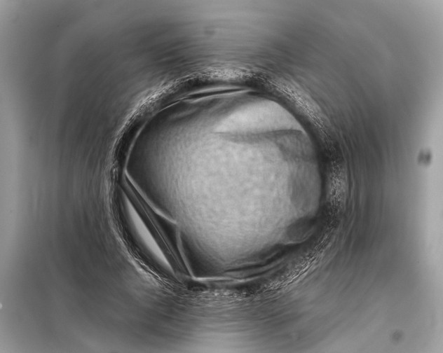 X0000098190736200805081047
