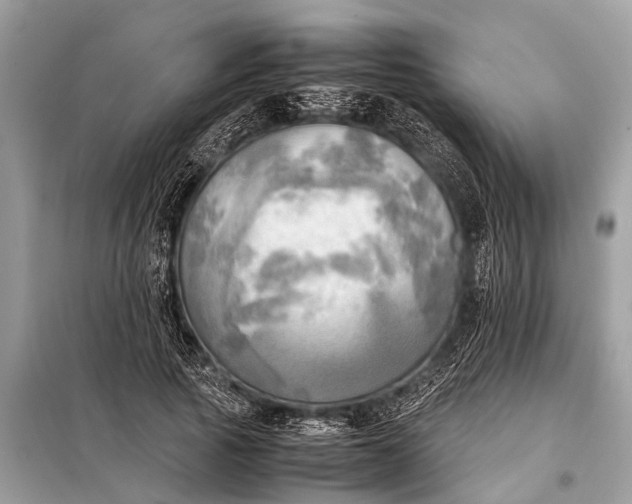 X0000098190737200805081047