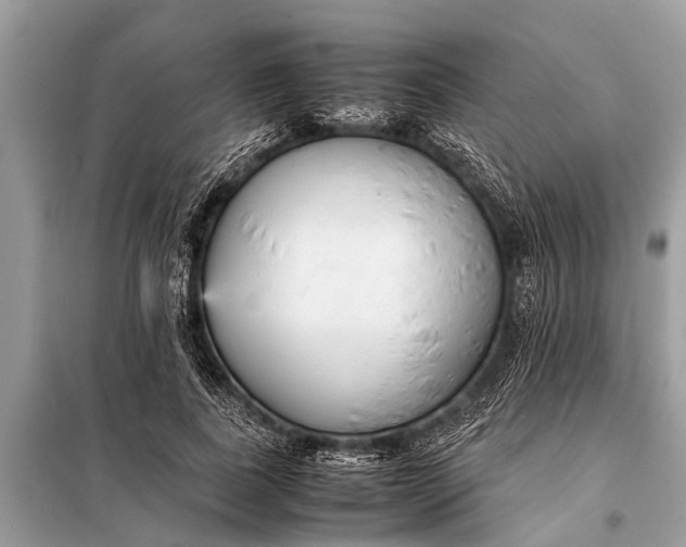 X0000098190739200805081047