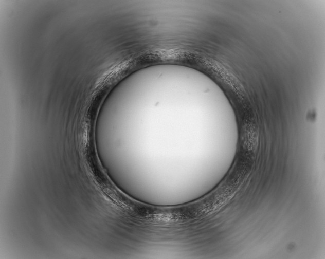X0000098190740200805081047