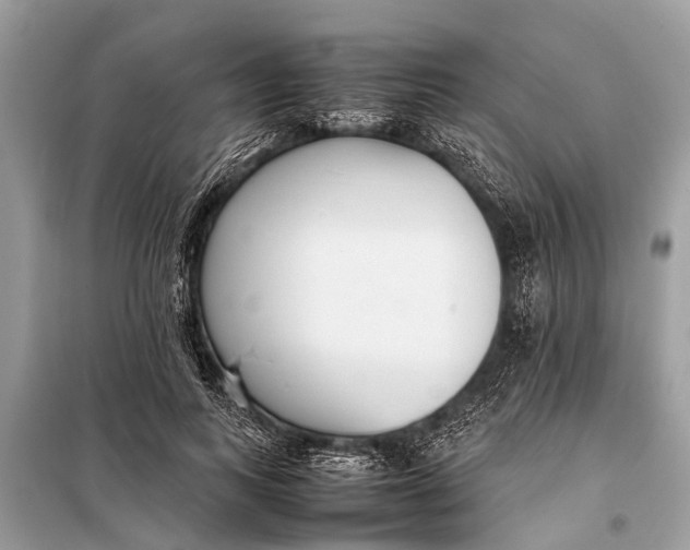 X0000098190743200805081047