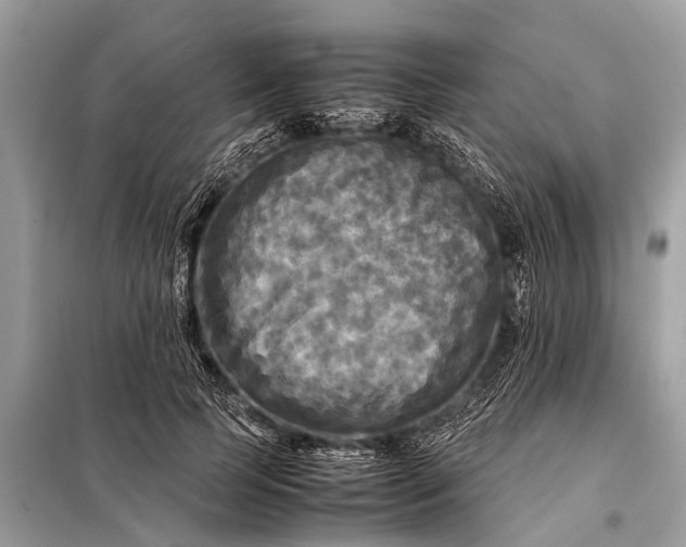 X0000098190745200805081047