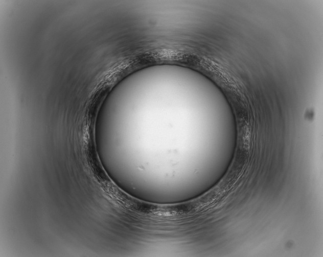 X0000098190746200805081047