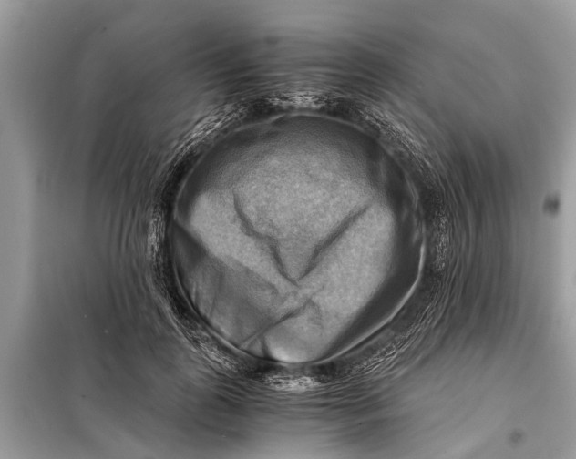 X0000098190747200805081047
