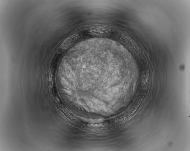 X0000098190749200805081047