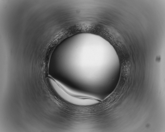 X0000098190750200805081047
