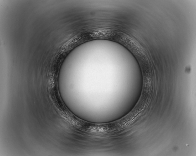 X0000098190751200805081047