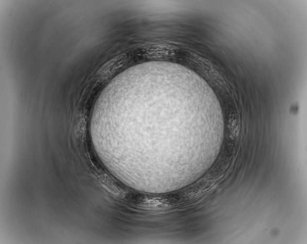 X0000098190753200805081047
