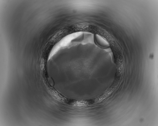 X0000098190758200805081047