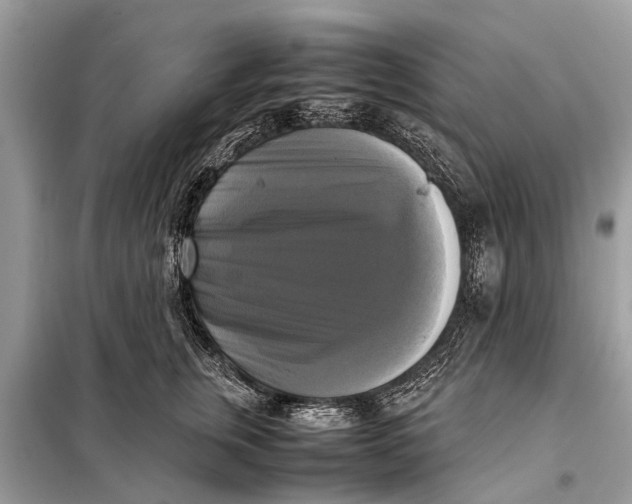 X0000098190759200805081047