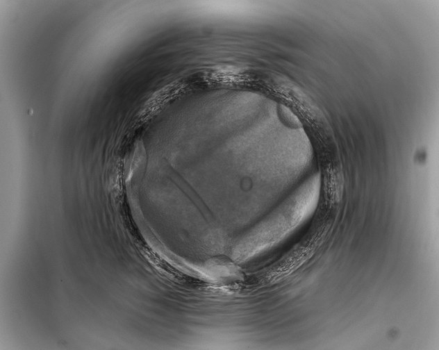X0000098190760200805081047