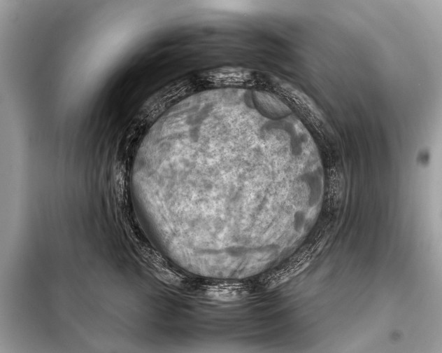 X0000098190761200805081047