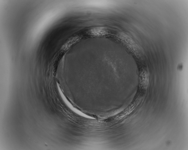 X0000098190762200805081047