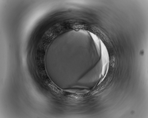 X0000098190763200805081047