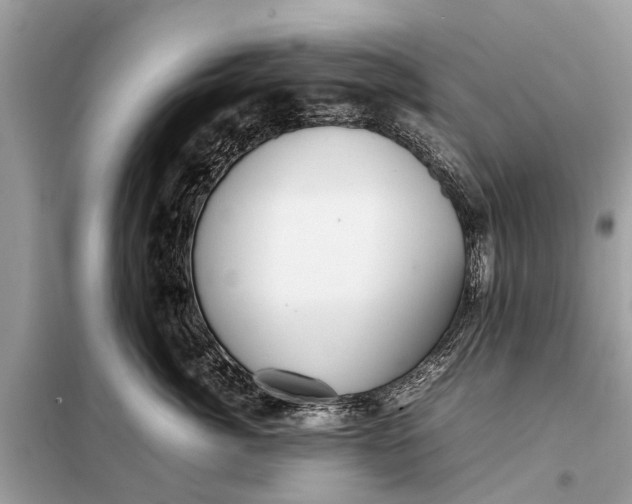 X0000098190764200805081048