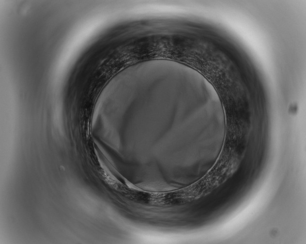 X0000098190766200805081048