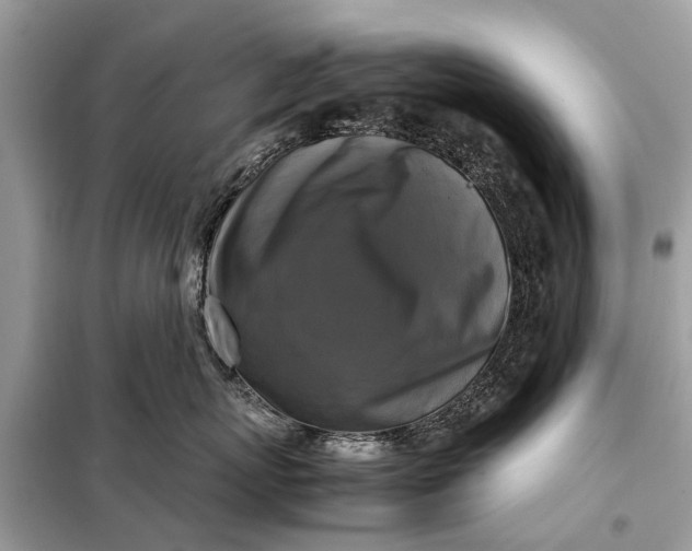 X0000098190767200805081048