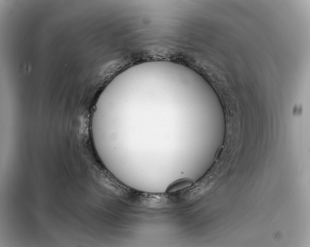 X0000098190768200805081048