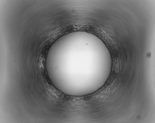 X0000098190770200805081047