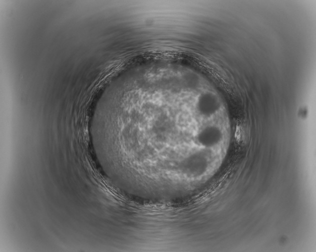 X0000098190771200805081047