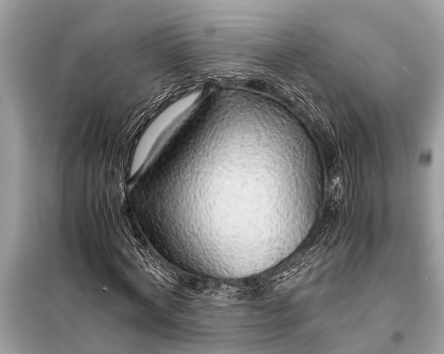 X0000098190772200805081047