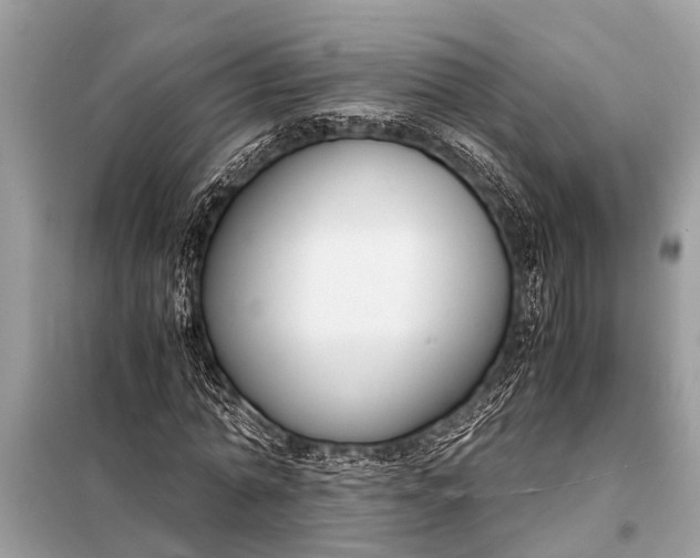 X0000098190774200805081047