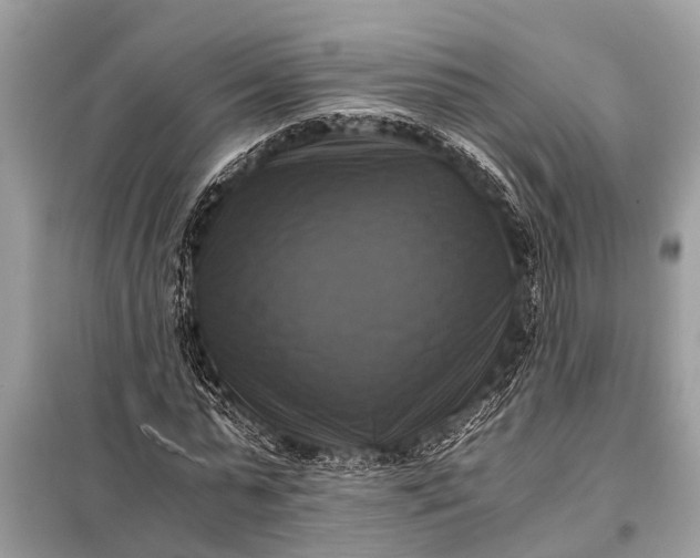 X0000098190775200805081047