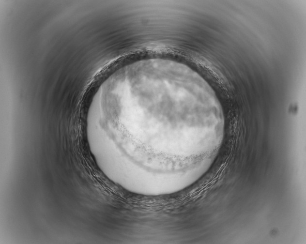X0000098190776200805081047