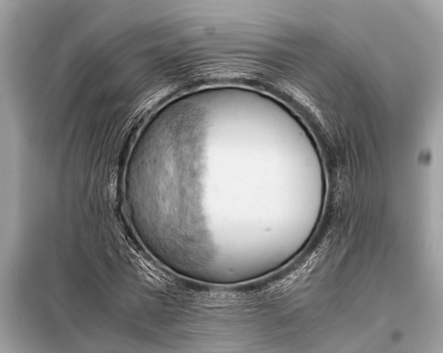 X0000098190777200805081047