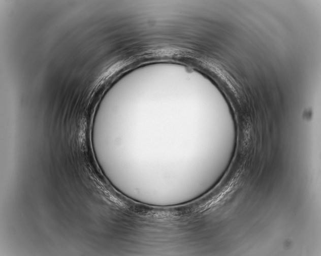 X0000098190778200805081047
