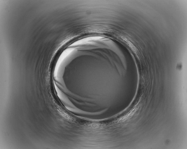X0000098190779200805081047
