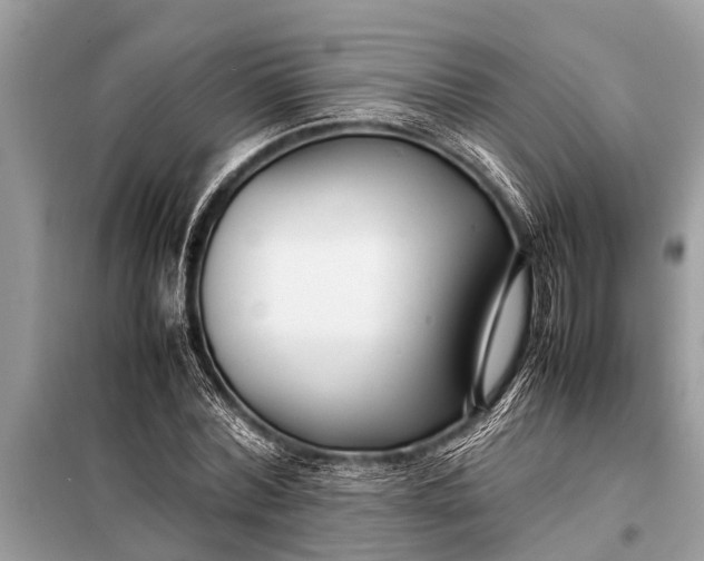X0000098190780200805081047