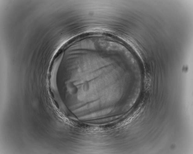 X0000098190783200805081047