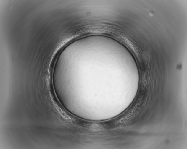 X0000098190787200805081047
