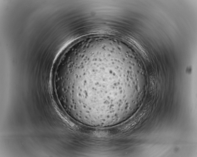 X0000098190788200805081047