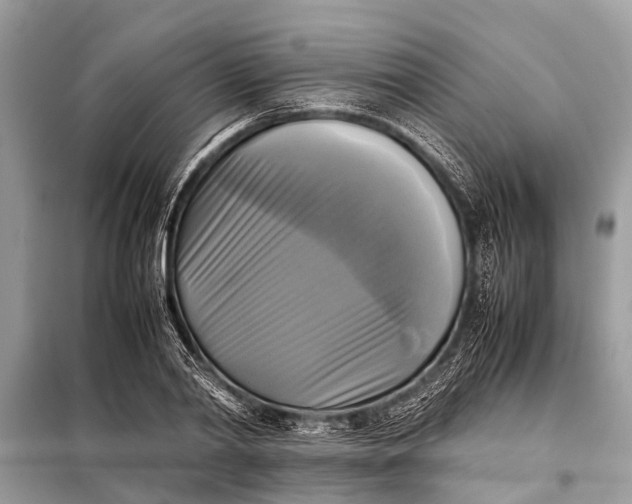 X0000098190790200805081047