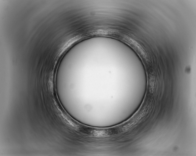 X0000098190794200805081047