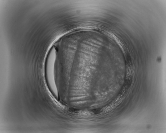 X0000098190795200805081047