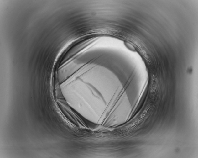 X0000098190796200805081046