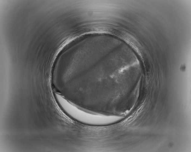 X0000098190797200805081046