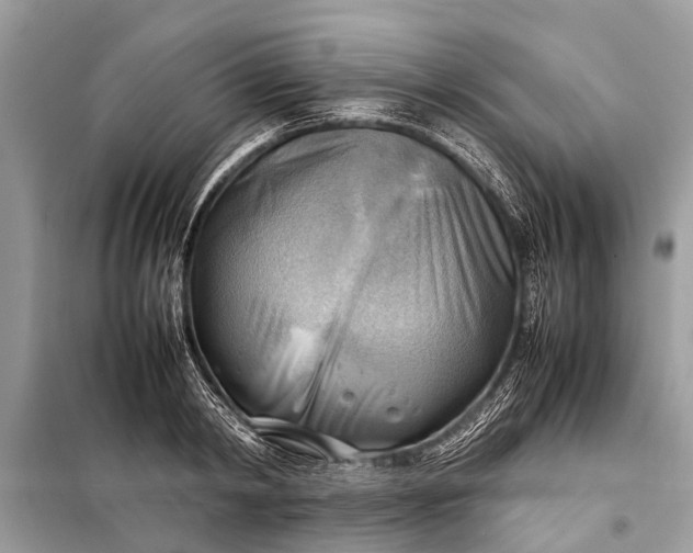 X0000098190798200805081046