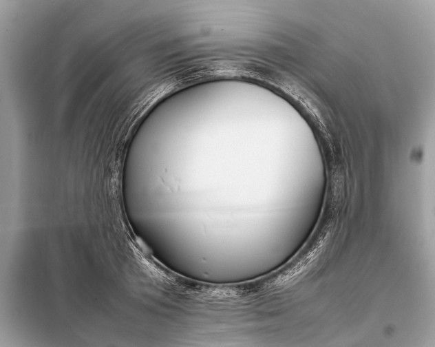 X0000098190801200805081046