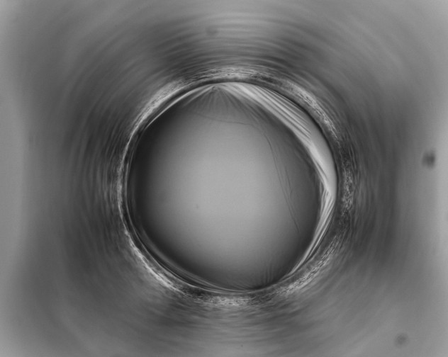 X0000098190802200805081046
