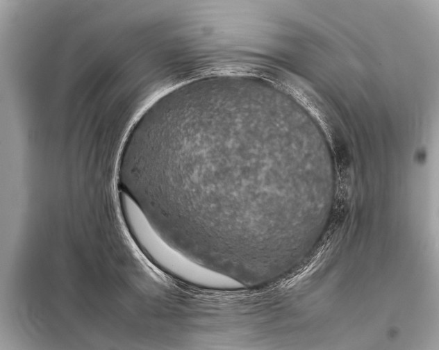 X0000098190803200805081046
